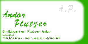 andor plutzer business card